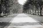 Warriors Walk, Fort Stewart, Georgia, 19 September 2010. Sepia rendering. Photo courtesy of Patricia Dumond. Warriors Walk, Fort Stewart, Georgia, 19 September 2010. Sepia rendering. Photo courtesy of Patricia Dumond.